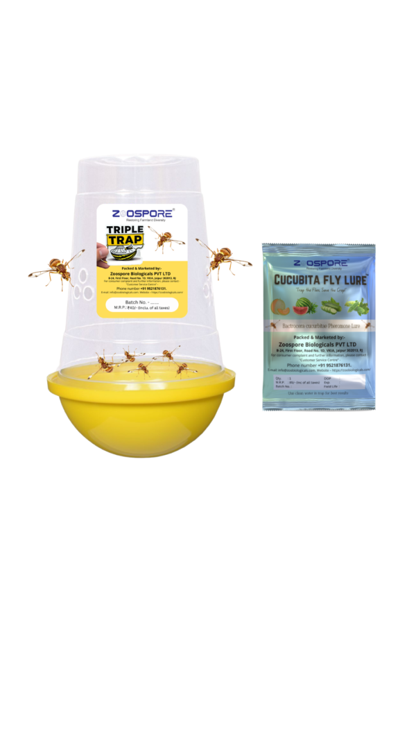 CUCUBITA FLY LURE